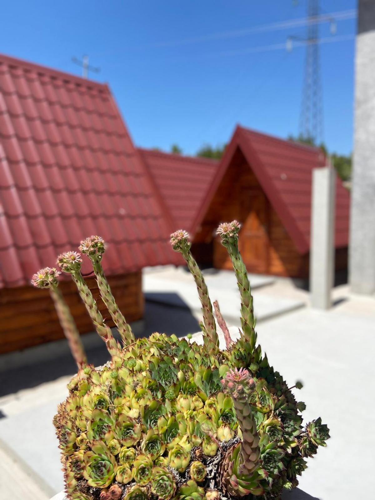 Hotel Rural Tourism/Ruralni Turizam Kisin Trebinje Zewnętrze zdjęcie